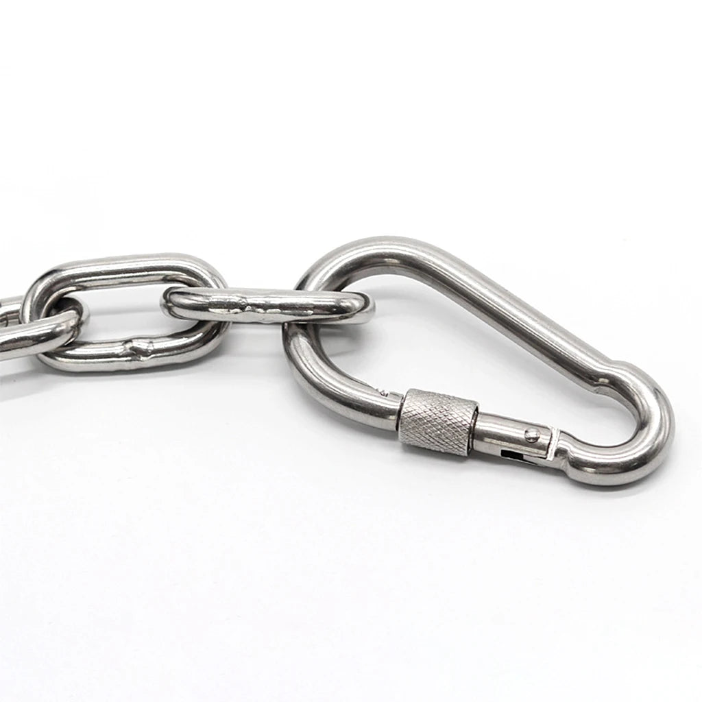 Stainless Steel Screw Lock Carabiner Set